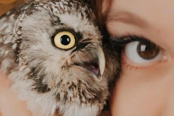 MatchUp Casino Ondersteuning